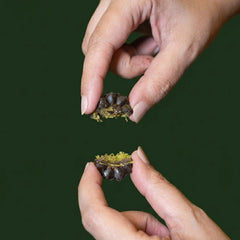 CRUNCHY KUNAFA DARK